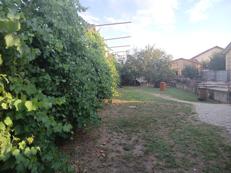 Domnesti, Ilfov.